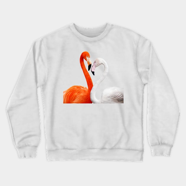 Flamingos Birds Plumage Feathers Beak Colorful Crewneck Sweatshirt by SWEIRKI